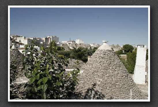 _MG_0015_JPG