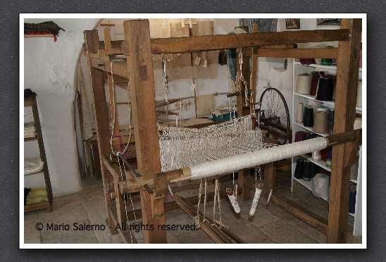 _MG_0024_JPG