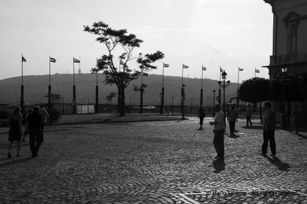 visita_0073a