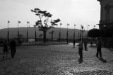 visita_0073a